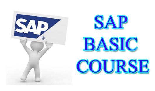 sap-basic-course-for-beginners-and-users-sap-press