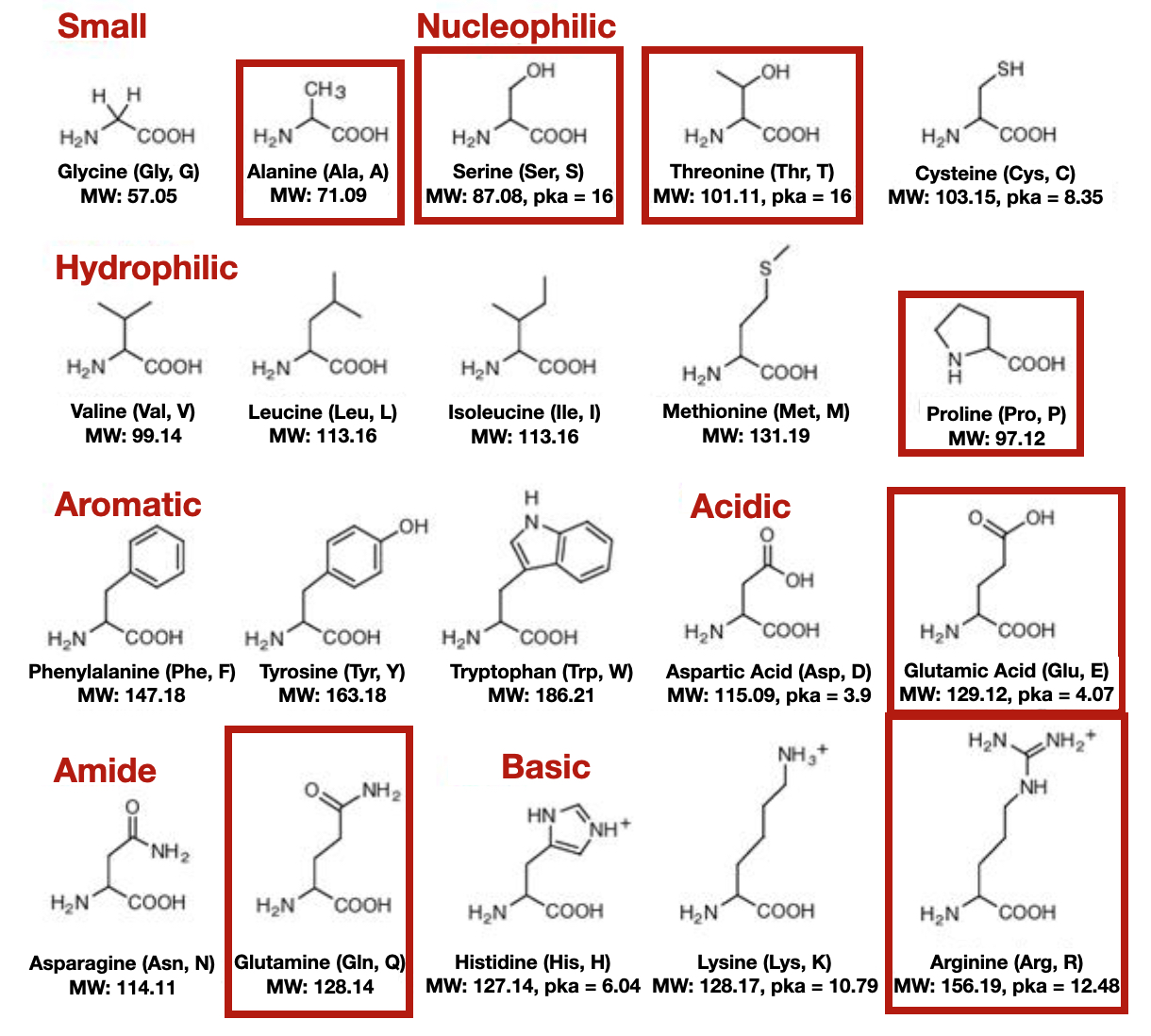 EnoViti Nitrogen in Grape Berry and Wine