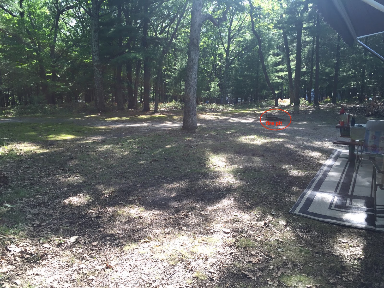 Travel Reviews & Information Lake Michigan Recreation Area / Lake