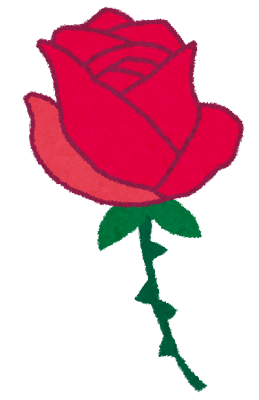 ãã©ã®ã¤ã©ã¹ããã¤ã¼ã¿ä¸è¼ªã