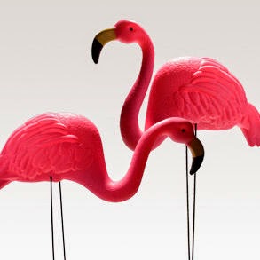 fashion trend flamingos