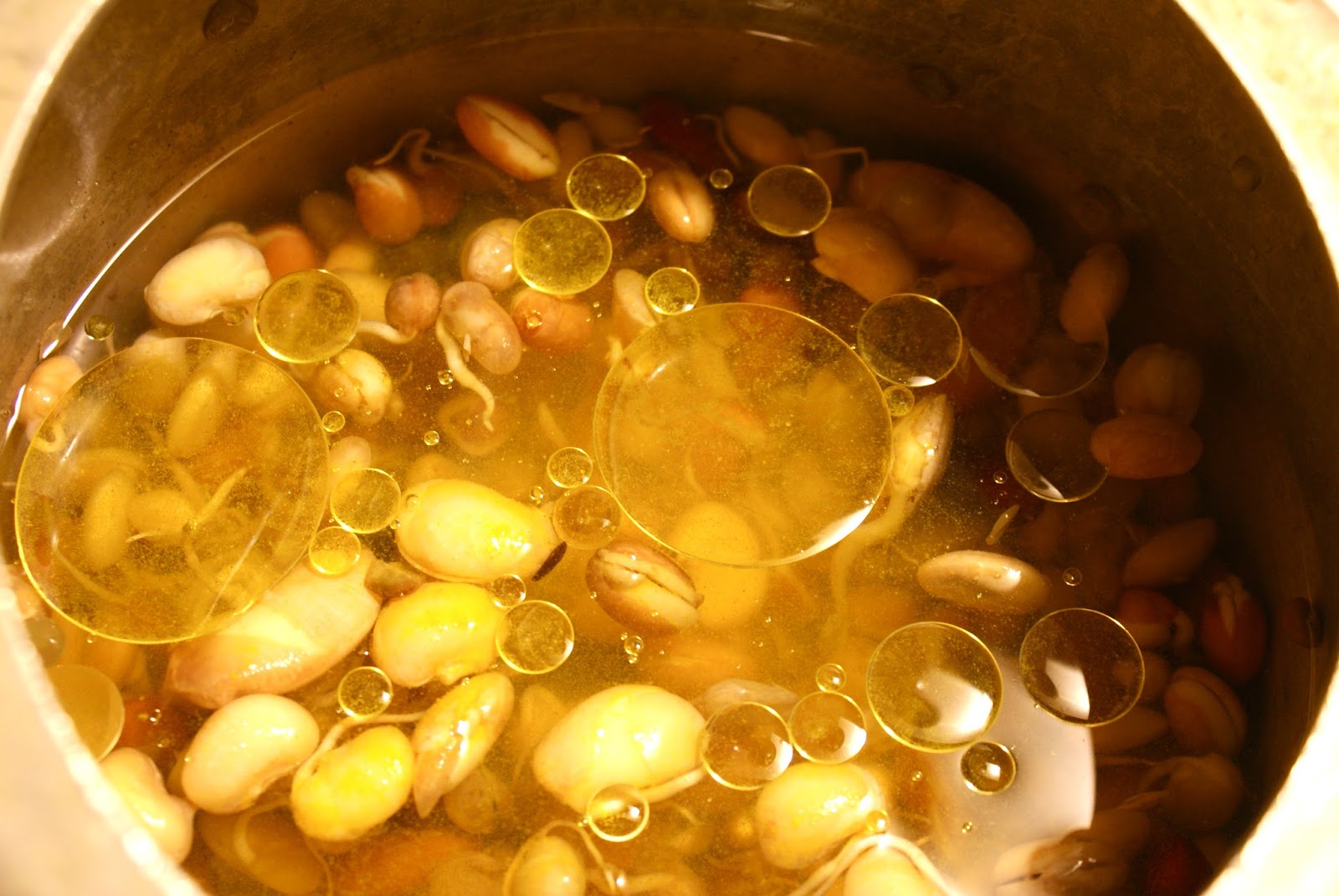 Nepali Tummy!! Kwati (Nepali Beans/Himalayan Soup)!!