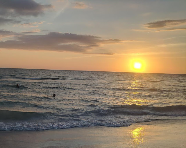 Anna Maria Island 2018 --Part Two --How Did I Get Here? My Amazing Genealogy Journey