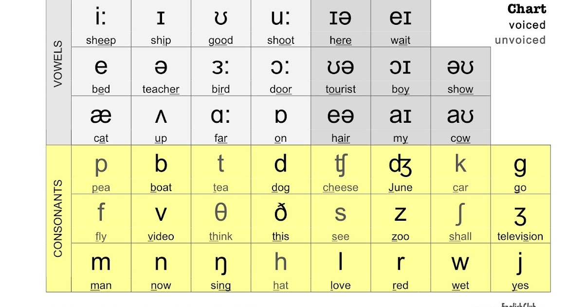 Phonetic Alphabet 10 Codes