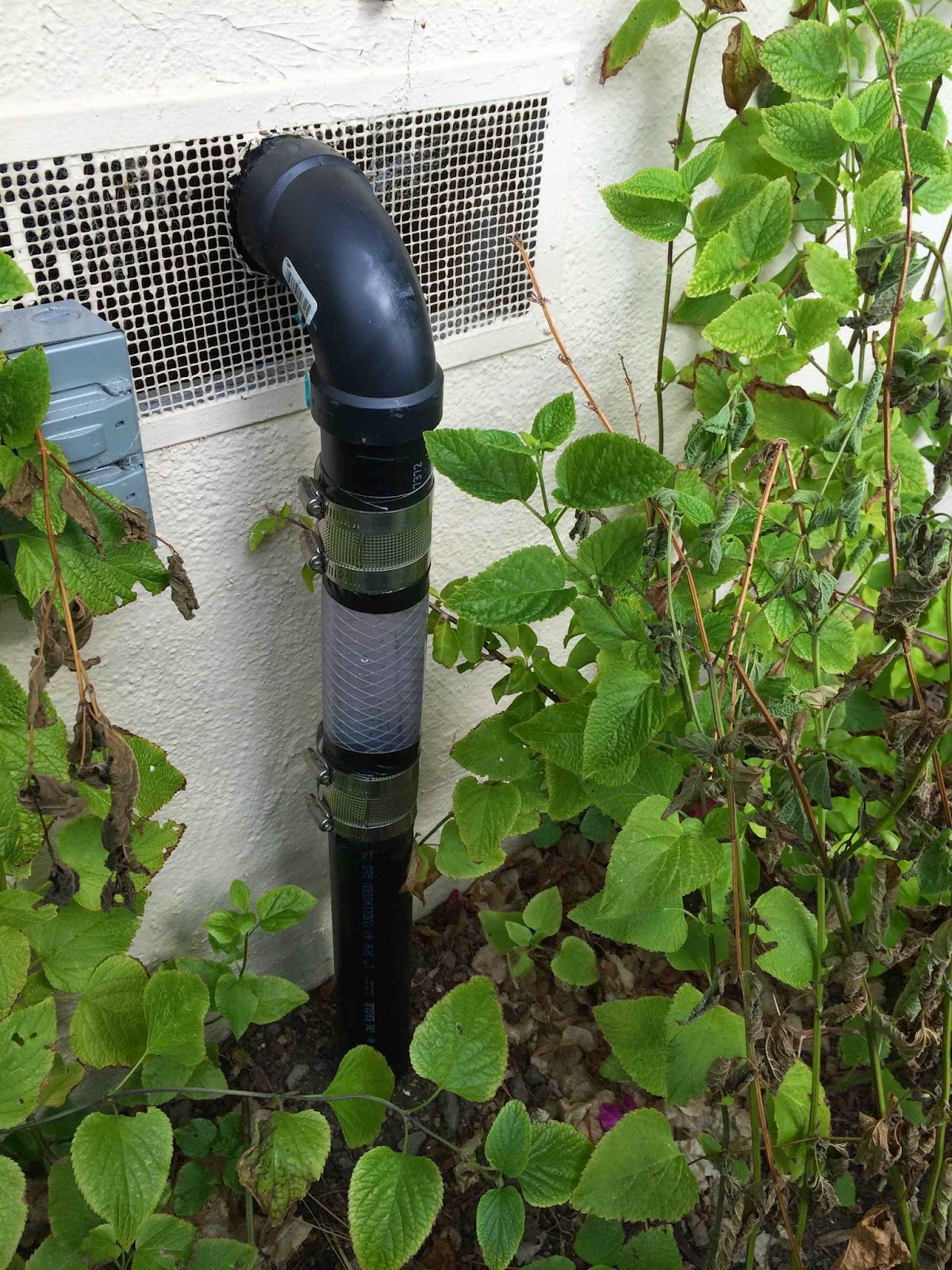 View of A Beginner's Guide to Installing a DIY Graywater System