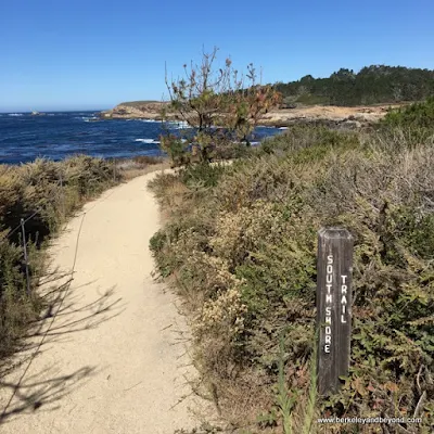 South Shore Trail at Point Lobos State Natural Reserve in Carmel, California