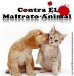 Contra El Maltrato Animal COLOMBIA