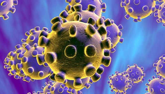 Chinese have been able to understand the characteristics of the Corona virus করোনা ভাইরাসের বৈশিষ্ট্য বুঝতে সক্ষম হয়েছে চায়নিজরা