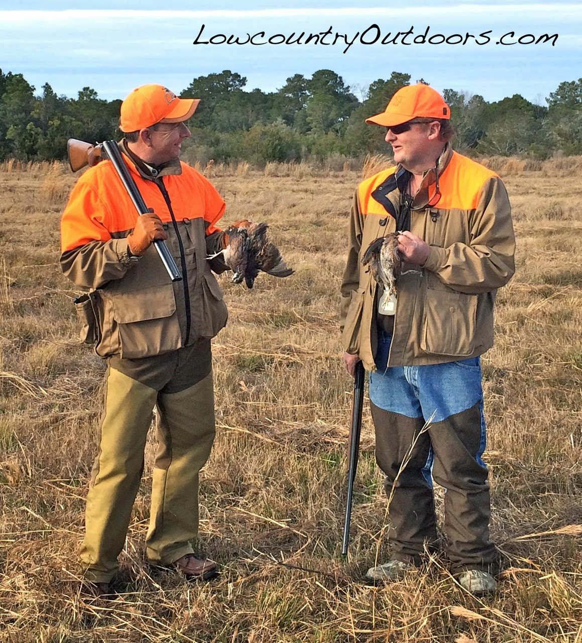 Lowcountry outdoors Edisto Island Quail Hunt January 2015