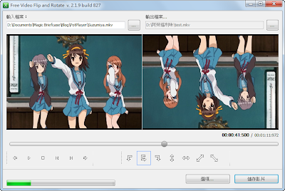 Free Video Flip and Rotate