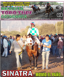 REVISTA Nº 5 - 2015