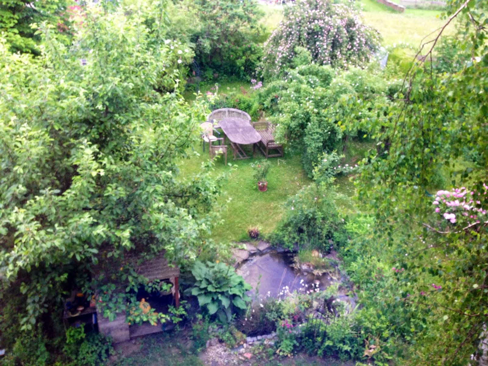 Mein wilder Garten • Mein wilder Garten vom Arbeitszimmer