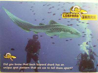 photo to encourage people to upload and send photos of leopard sharks for identification