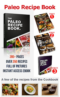 Paleo Recipe Book Review | The Best Paleo CookBook