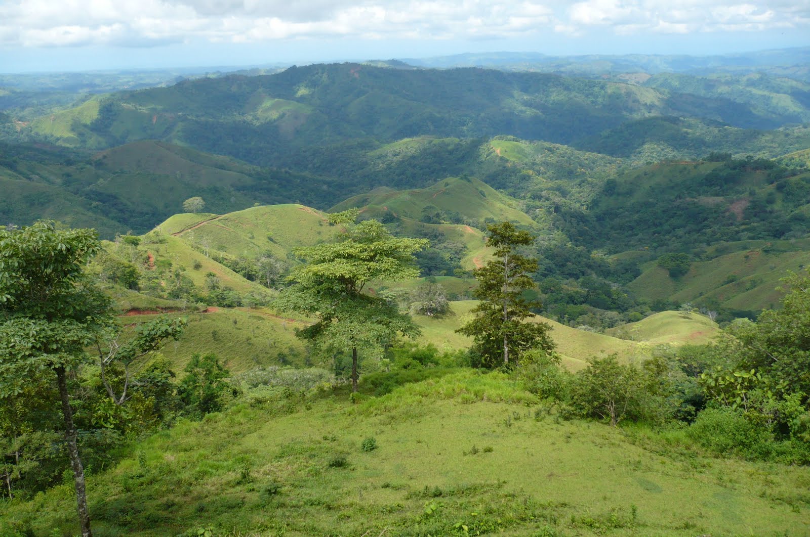 ECOSISTEMAS DE COSTA RICA BOSQUE TROPICAL HÚMEDO PREMONTANO