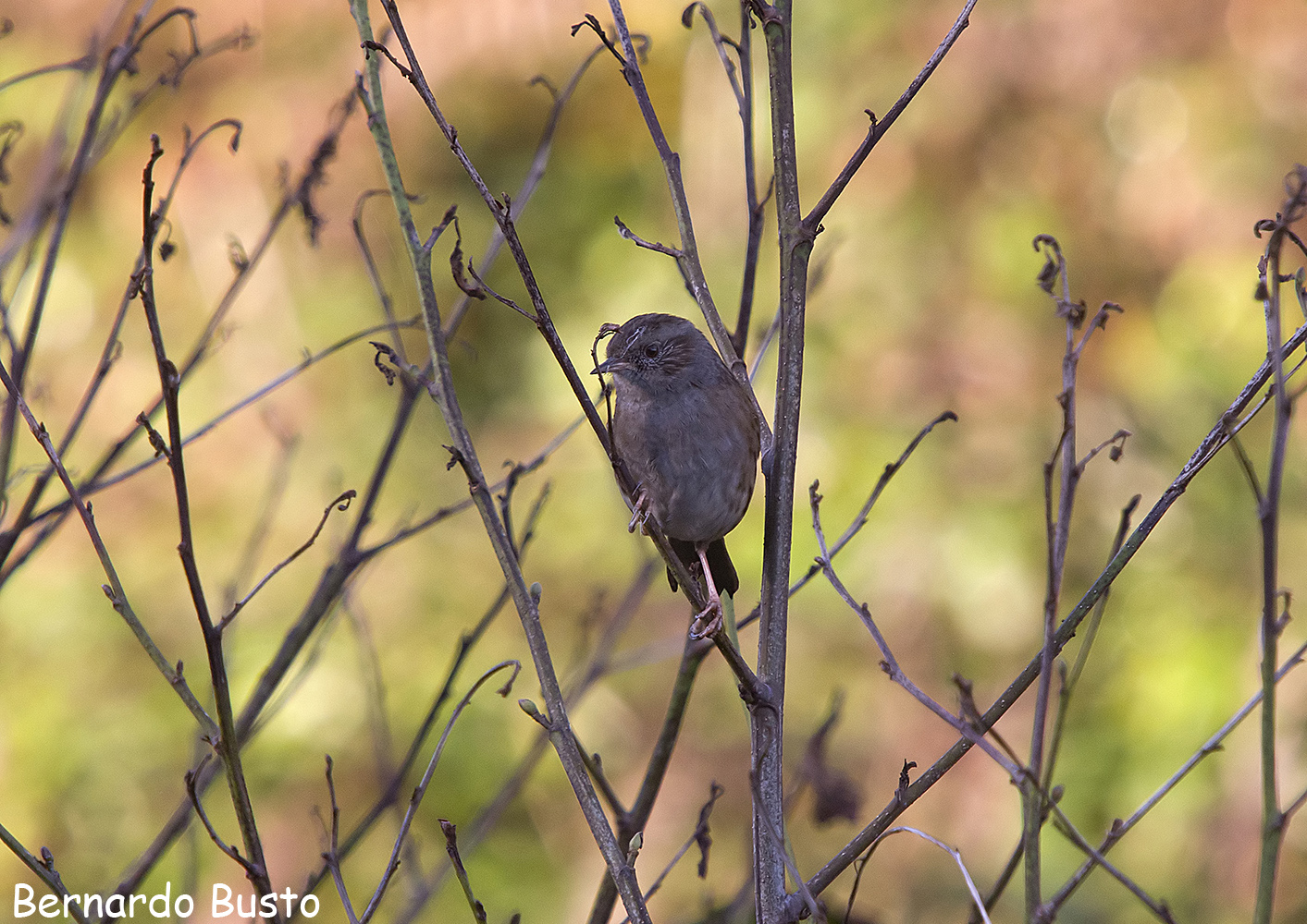 RÍA DE LA VILLA Por el río Merón