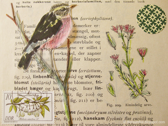 Raumfee Immer Wieder Sonntags