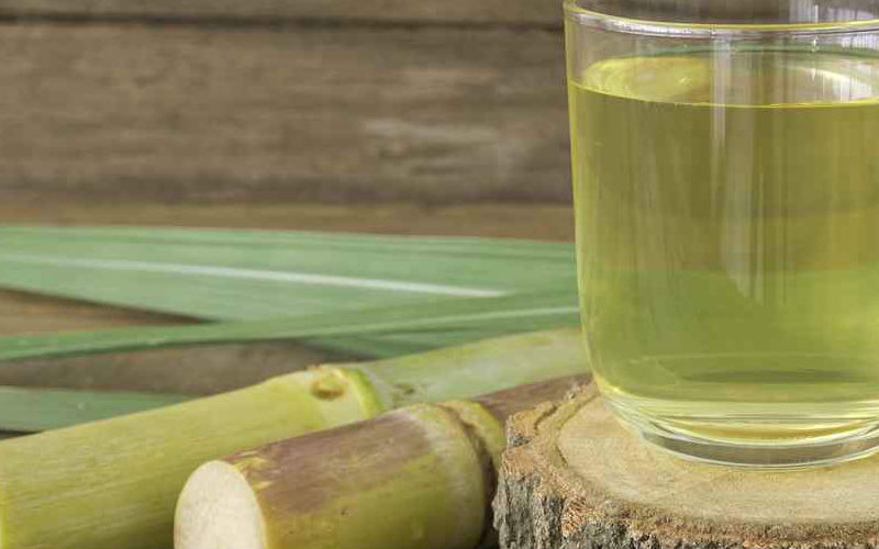 El mexiquense Hoy ¿Qué significa huachicol?