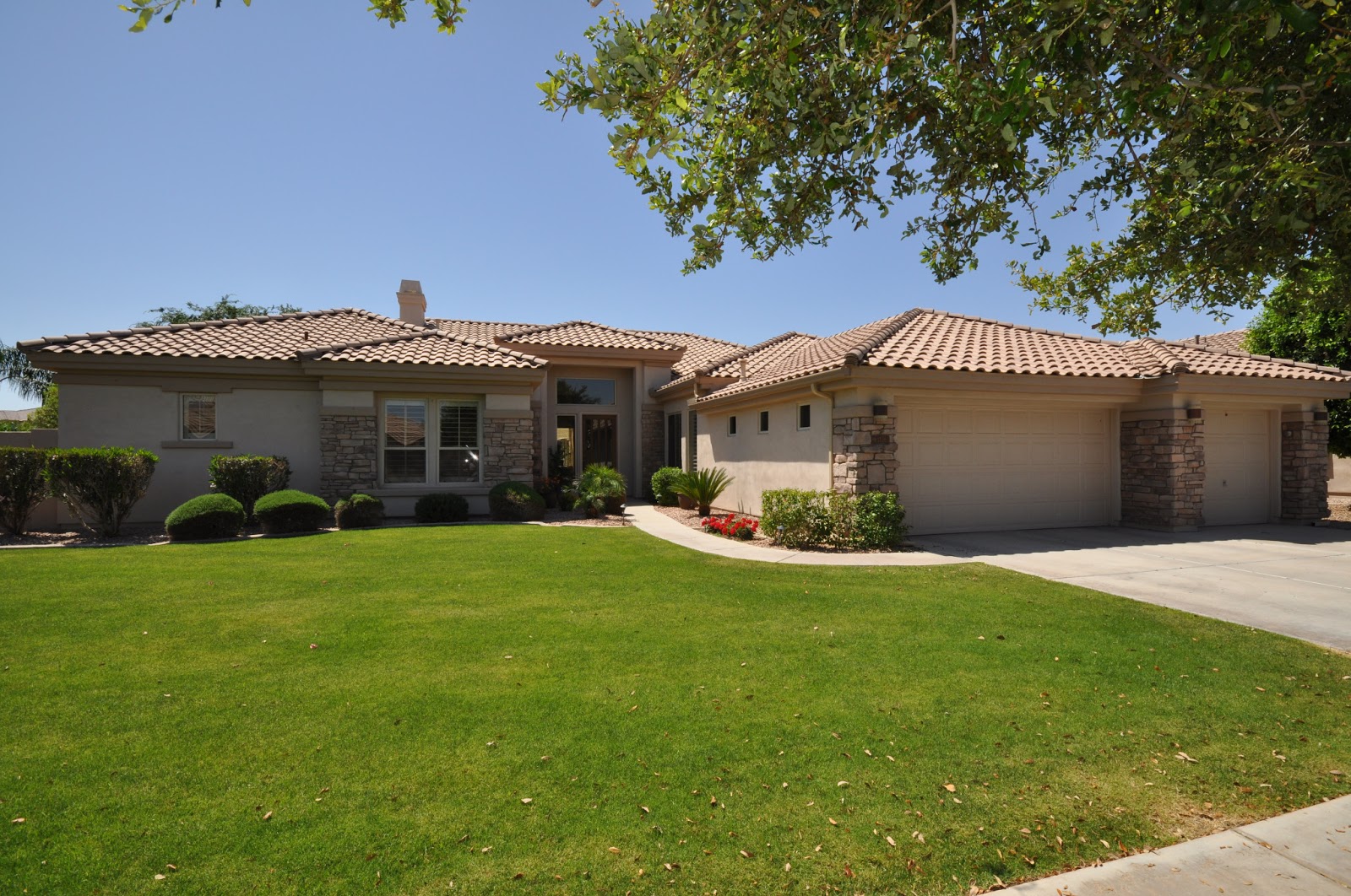 st patrick day in mesa az