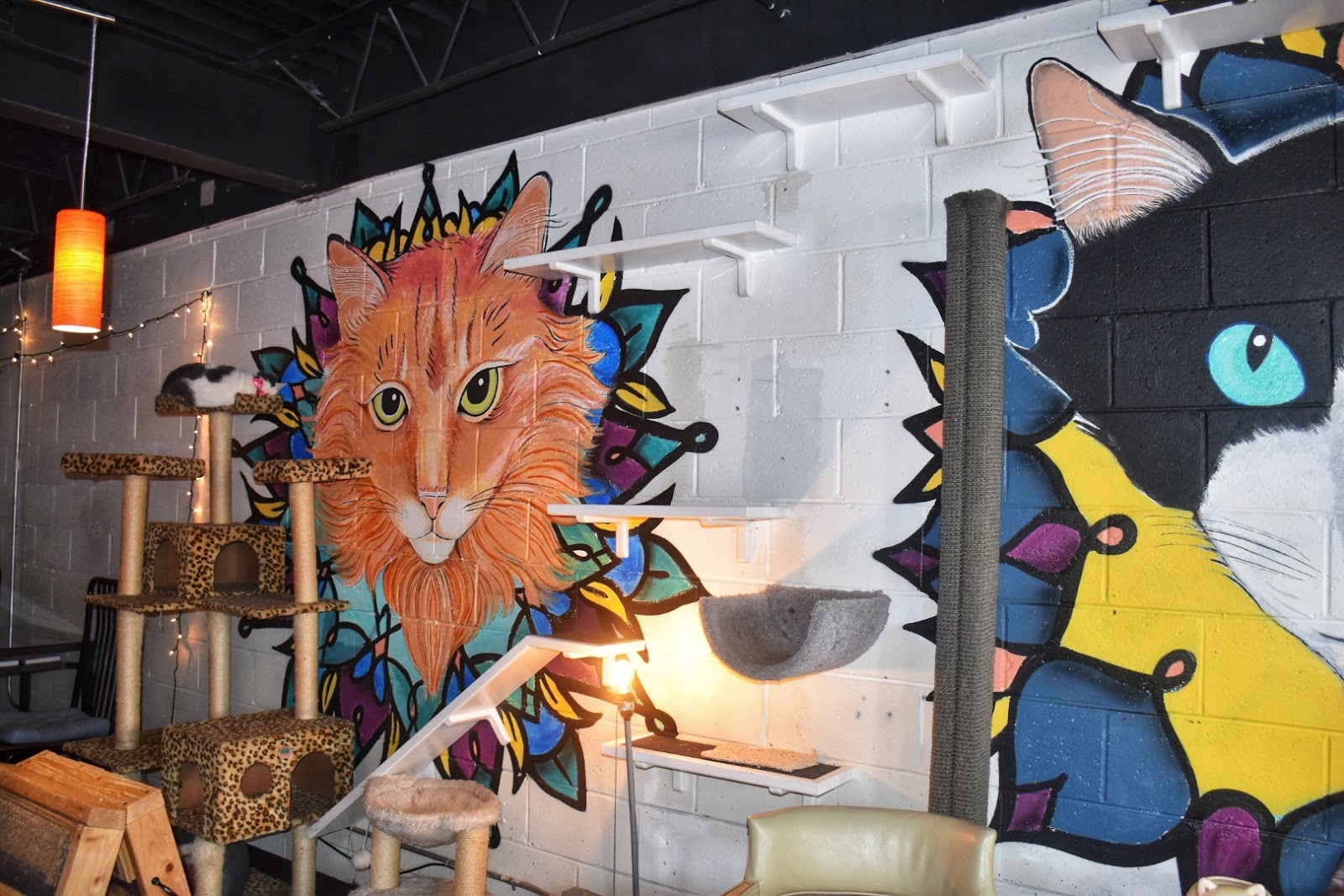 Java Cats Cafe Atlanta