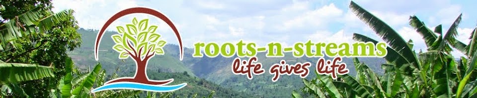 Roots-n-Streams