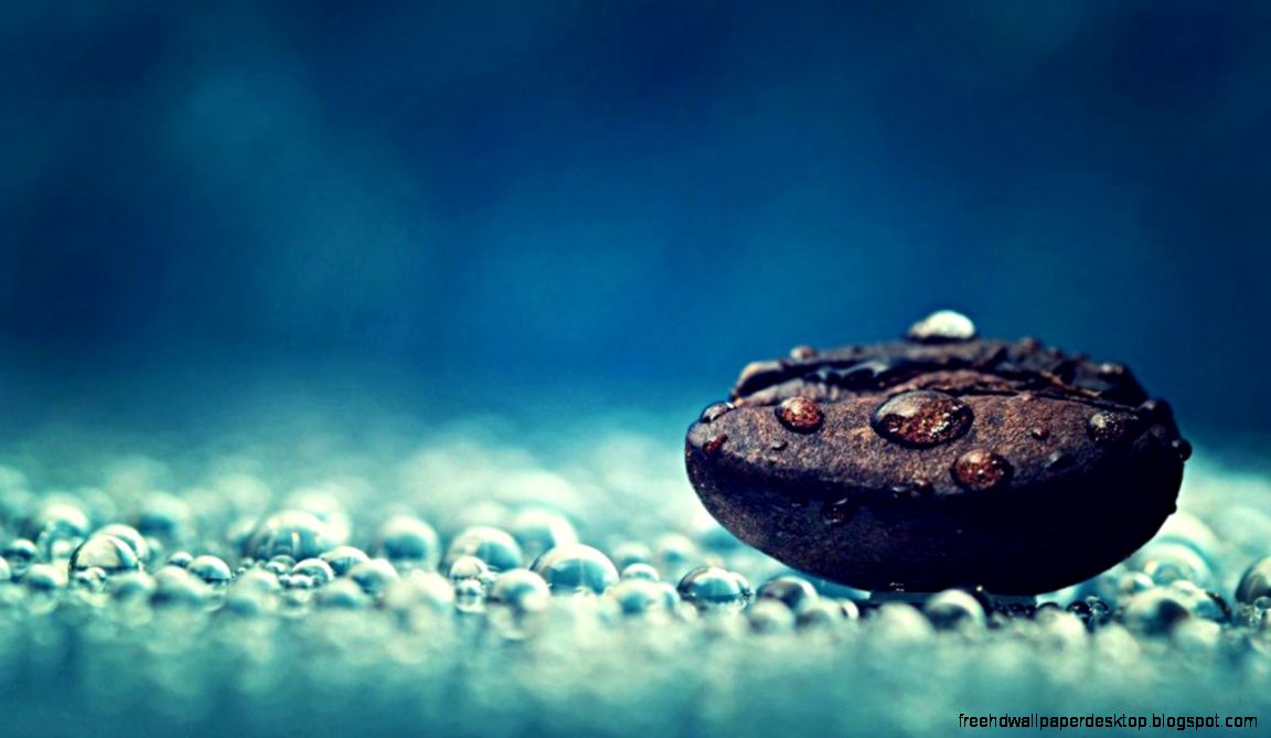 Water drops Relaxation Coffee beans Macro Relaxing HD Wallpapers