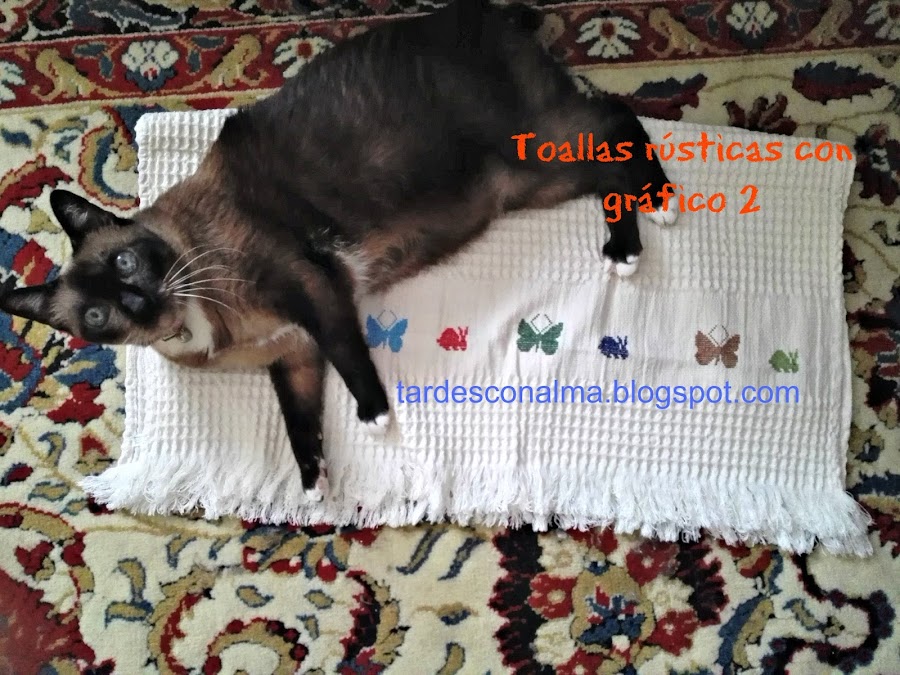 tardesconalma.blogspot.com