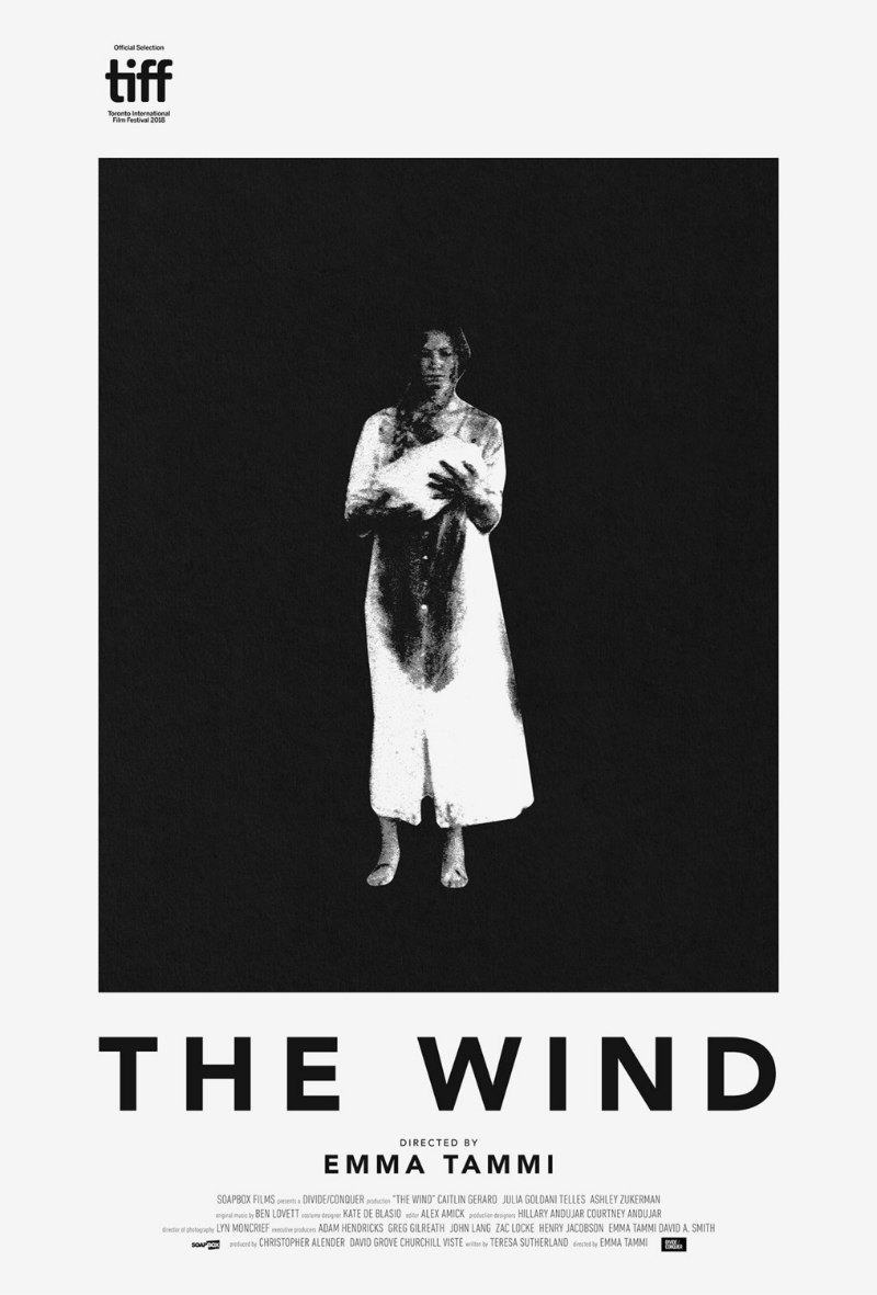 the wind film poster