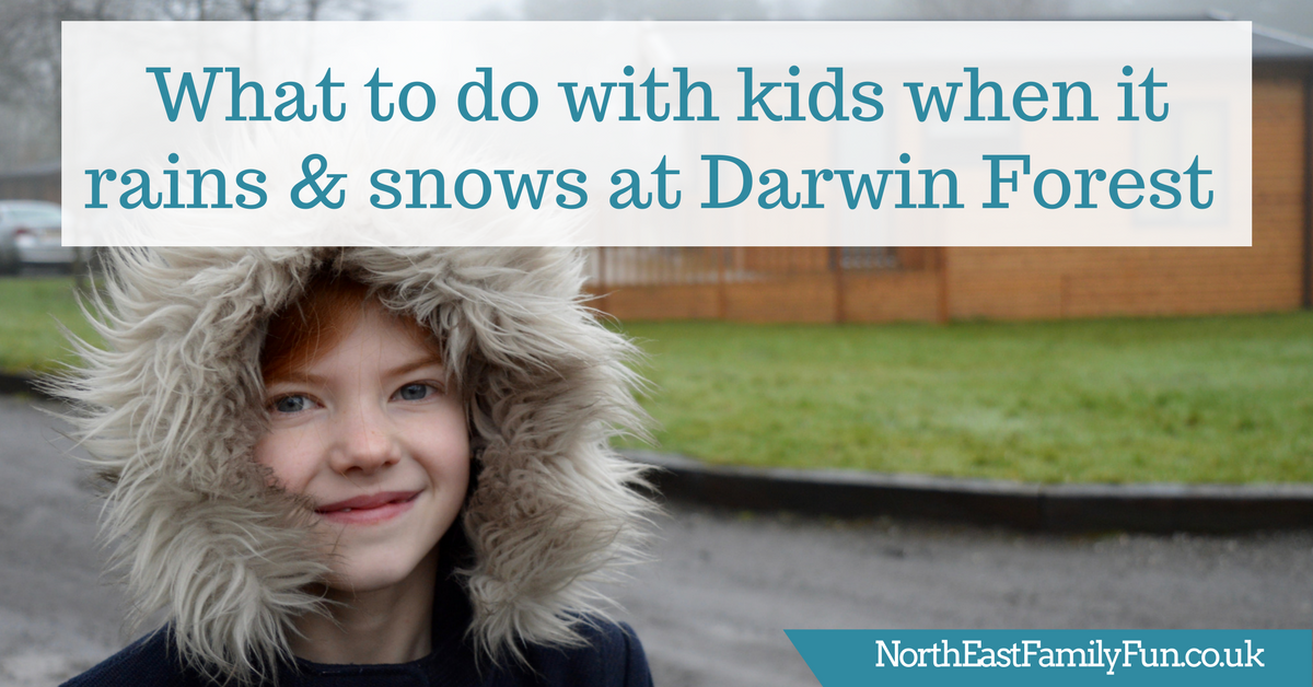 What to do with kids when it rains & snows at Darwin Forest Country Park