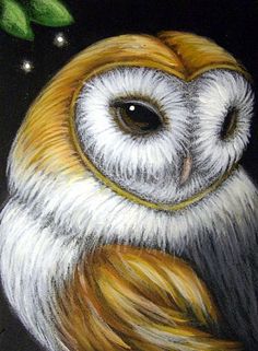 owl images