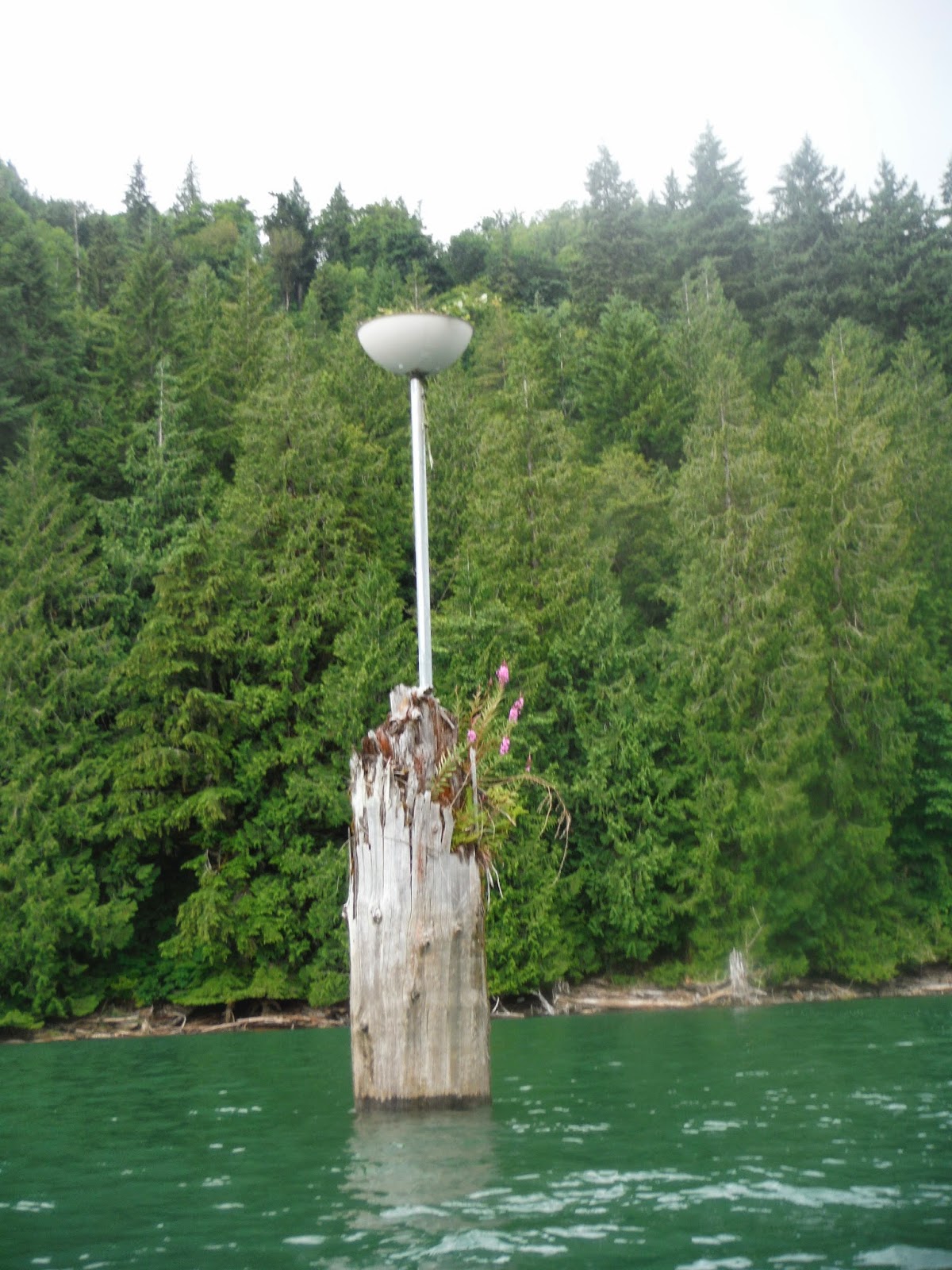 Discover Outdoors Kayak Lake Shannon, Washington State