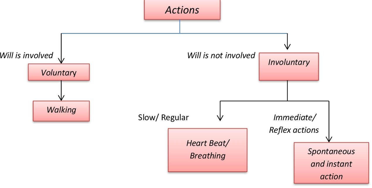examples of voluntary reactions