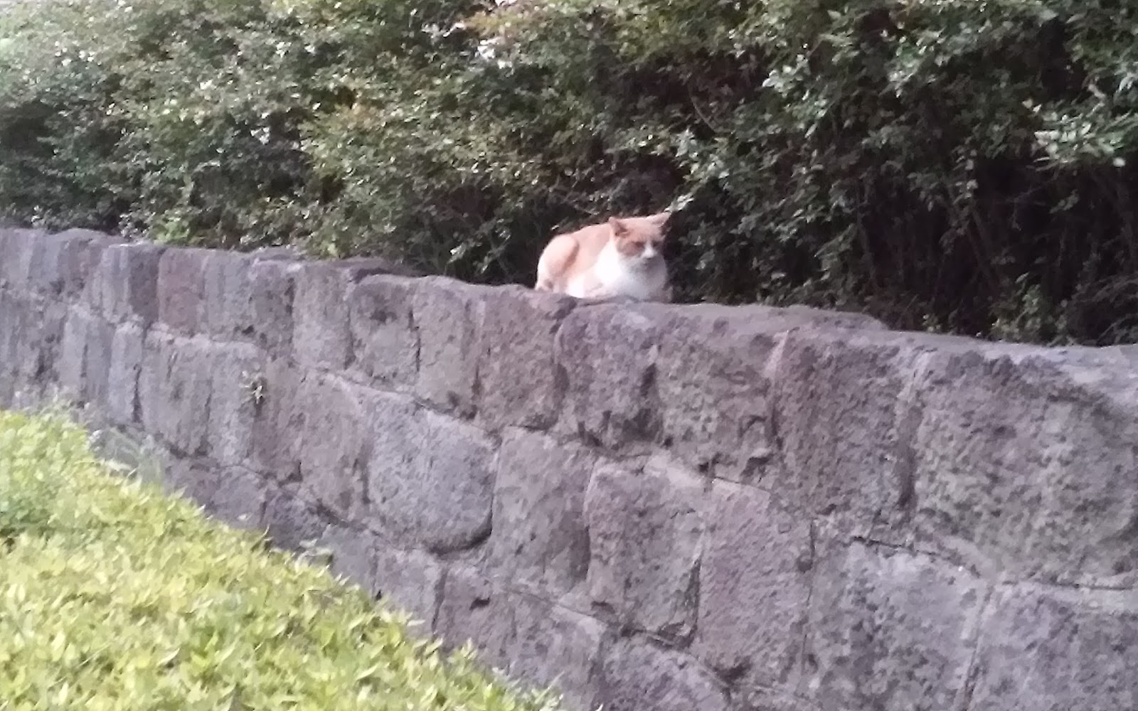 オデッサ海岸通り 5月 16