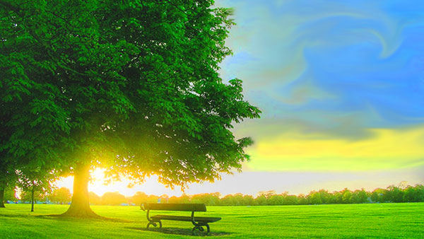 صور طبيعية