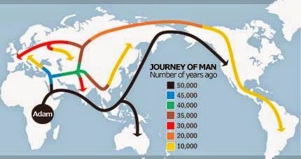 The Missing Links' Physical Anthropology Project
