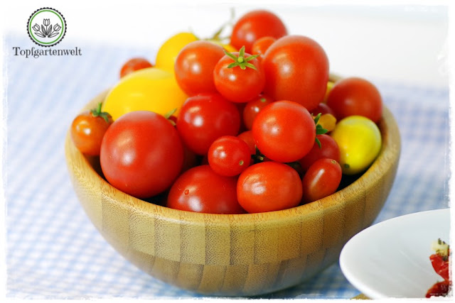 Antipasti haltbar machen - Foodblog Topfgartenwelt