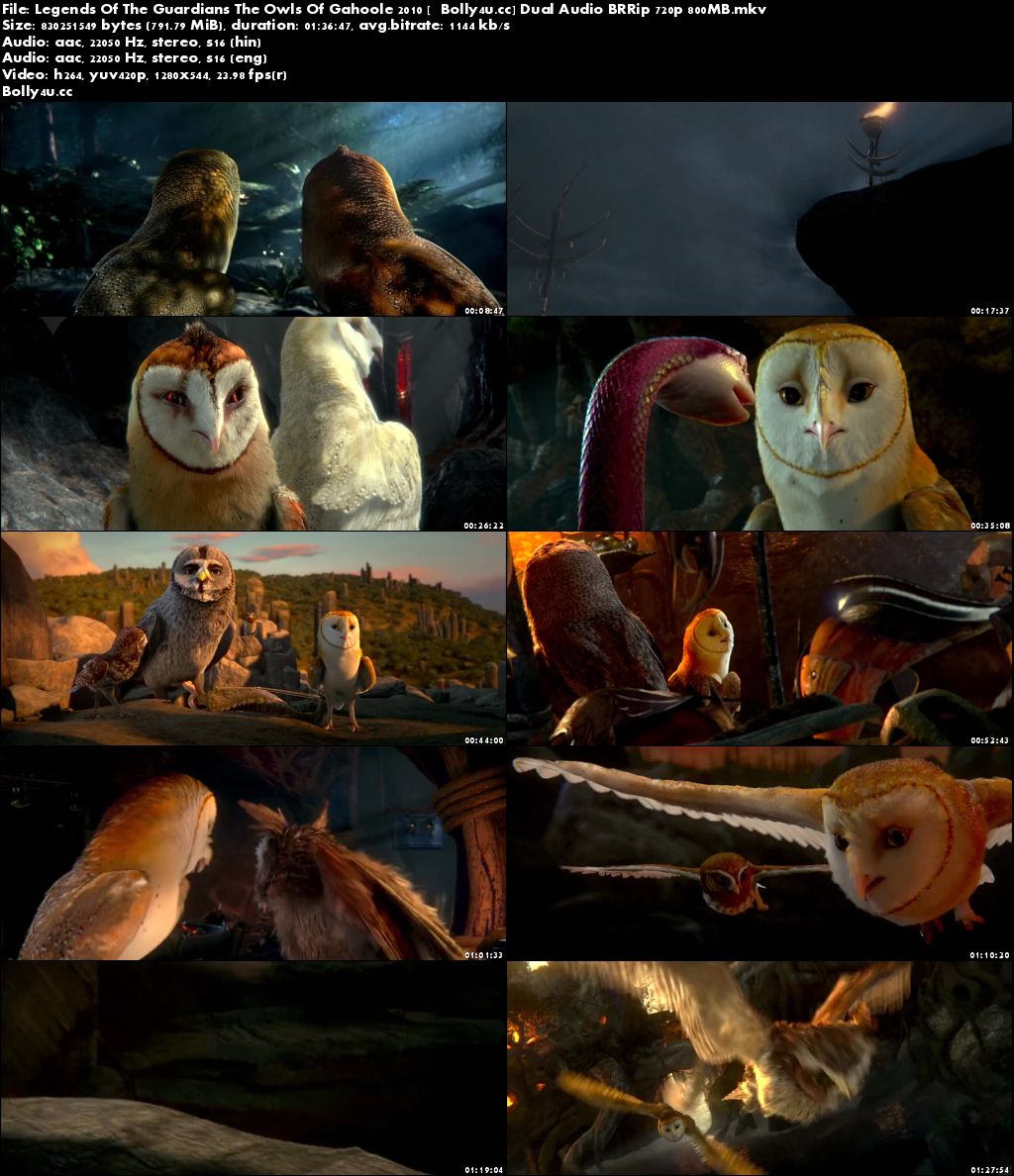 Legends Of The Guardians The Owls Of Gahoole 2010 Hindi Dual Audio BluRay 480p 300MB 720p 800MB