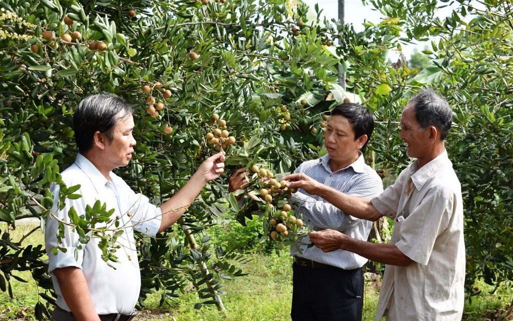 Vườn trái cây Tây Ninh Khám phá những điểm đến tuyệt vời của miền đất phương Nam