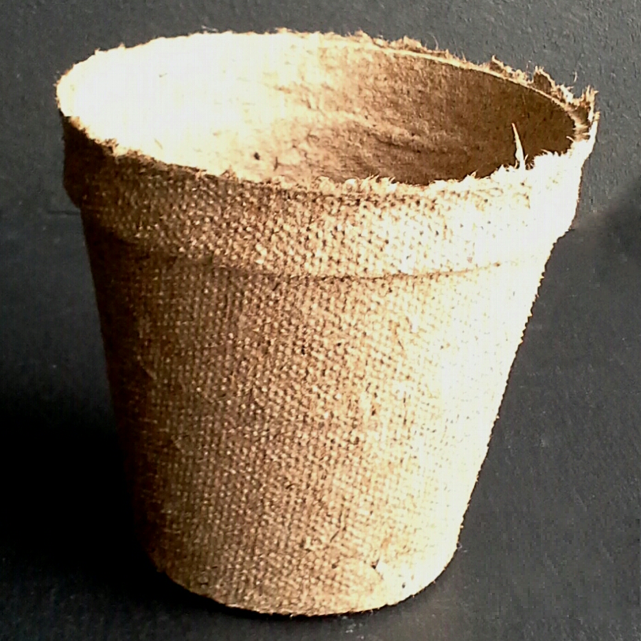 Magia Mia Colorful Spring Baskets from Peat Pots with Crepe Paper