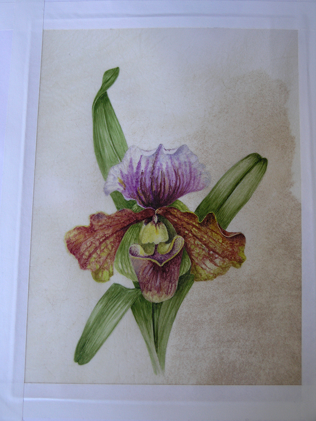 Maza Studio My first Vellum Painting