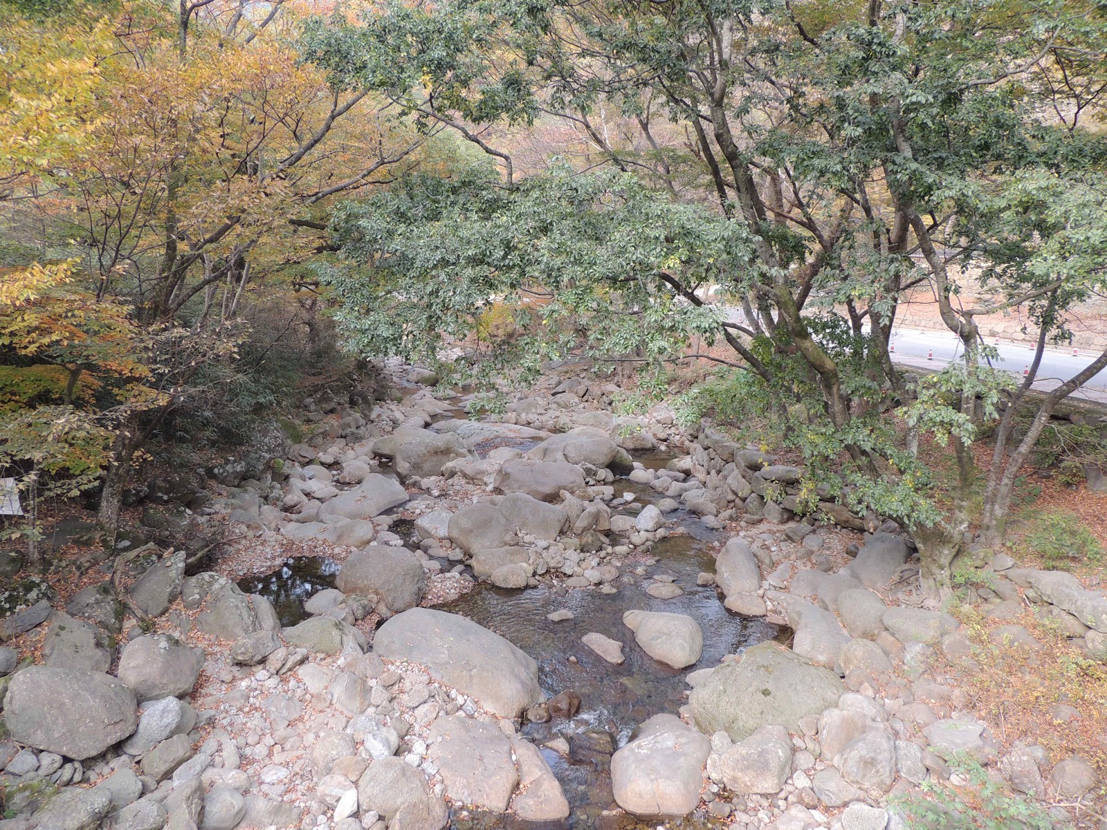 구례 화엄사