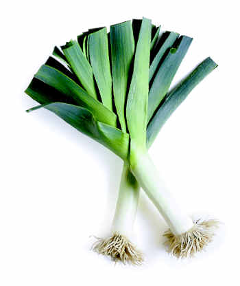 Pictures Of Leeks 119
