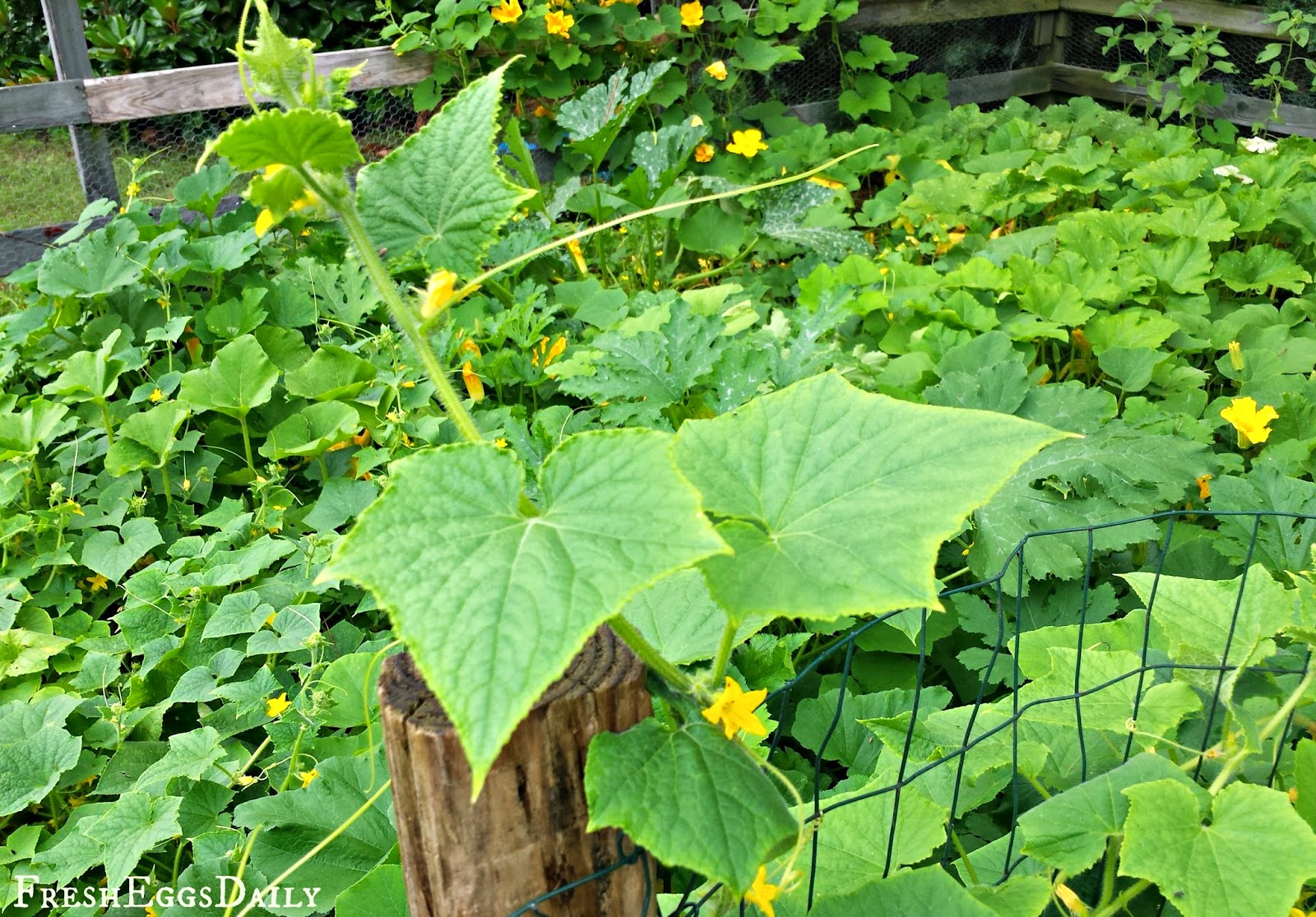 Good Bugs vs. Bad Bugs: The Struggle between Good and Evil in the