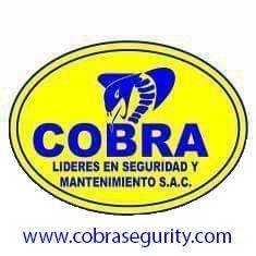 Cobra & Lideres en Seguridad y Mantenimiento S.A.C.