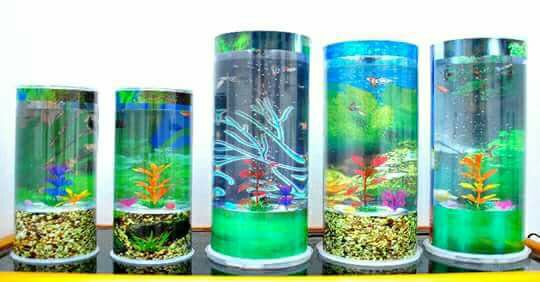 dream aquarium portable dream aquarium portable