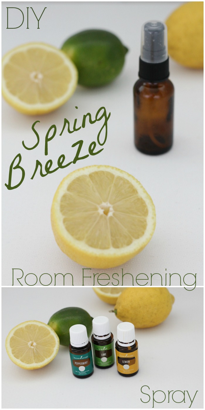 An Life Blog DIY Spring Breeze Room Freshening Spray