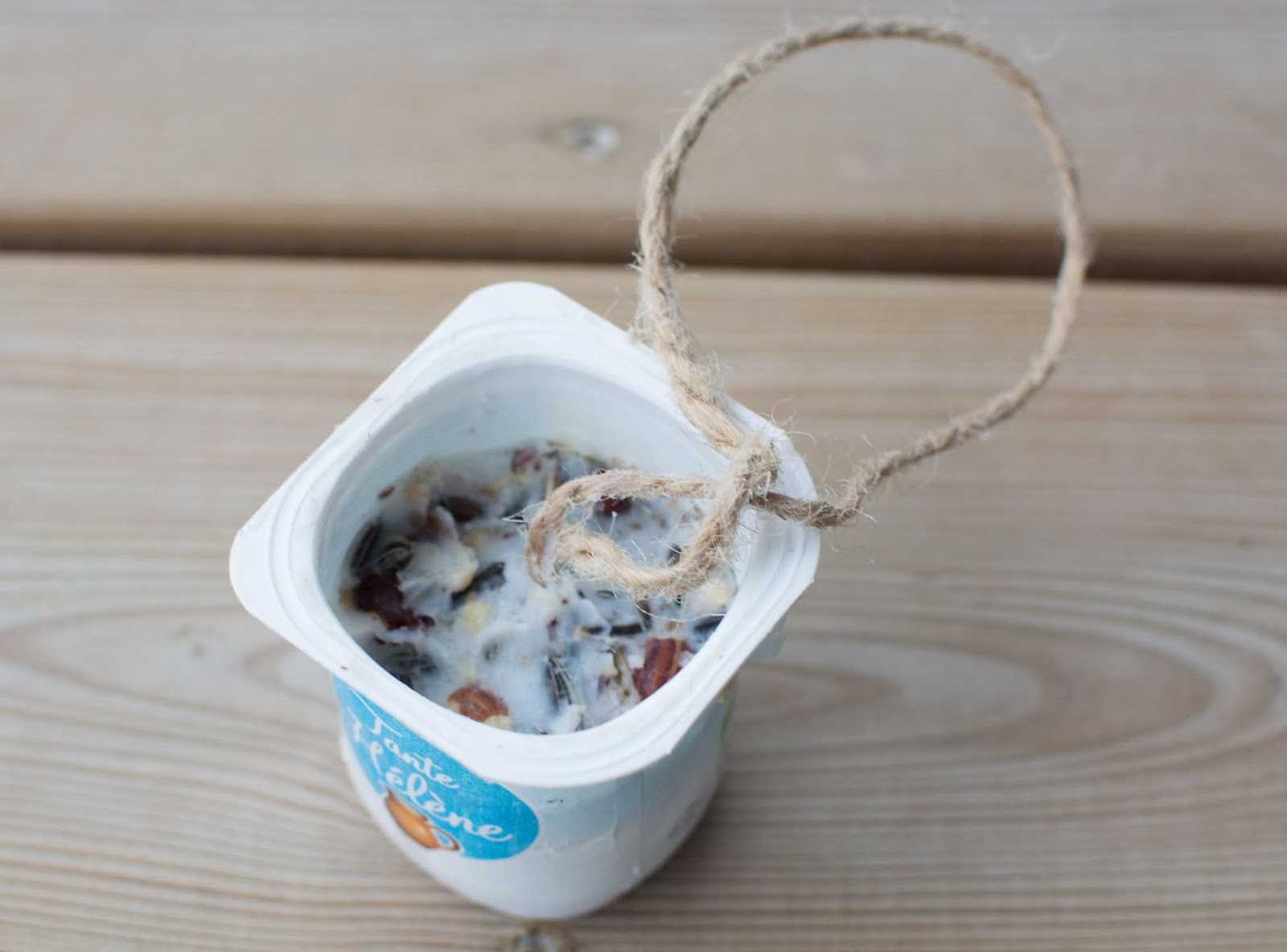 TKGEOUE 4PCS étal Boule De Graisse Oiseau Angeoire,Boule De Graisse Oiseau Angeoire,angeoire