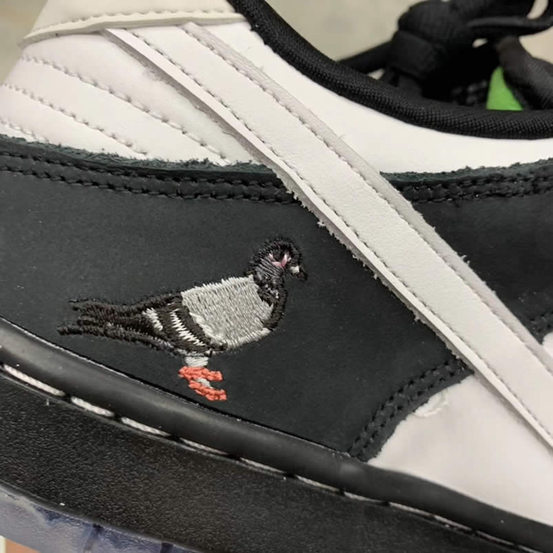 panda pigeon release date