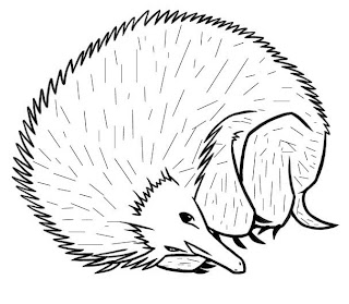 Porcupine drawing coloring ~ Child Coloring