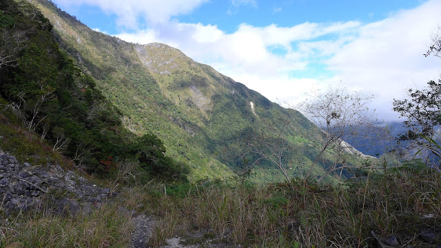 P1100631.JPG